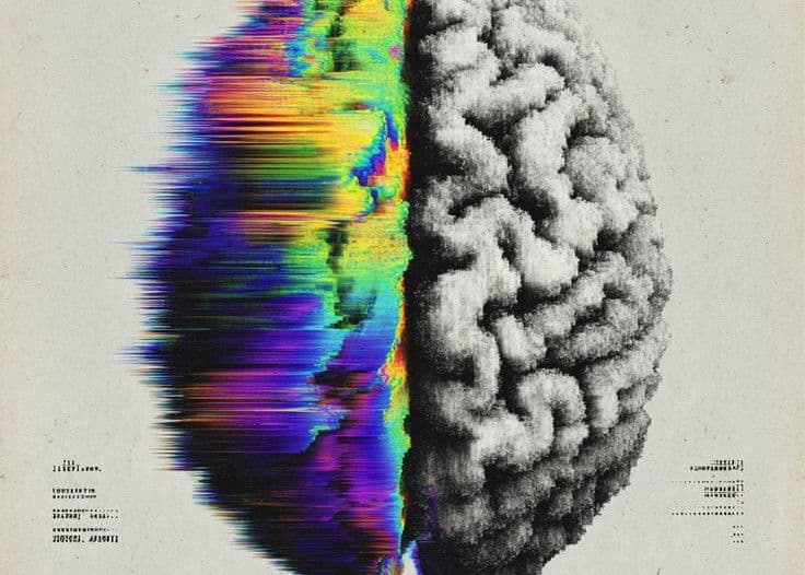 How Your Brain Tricks You Every Day (And Why That’s a Good Thing)