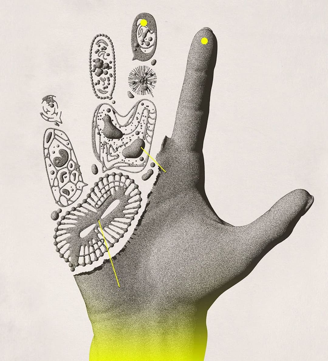 What Would Alien Life Actually Look Like? Not Little Green Men